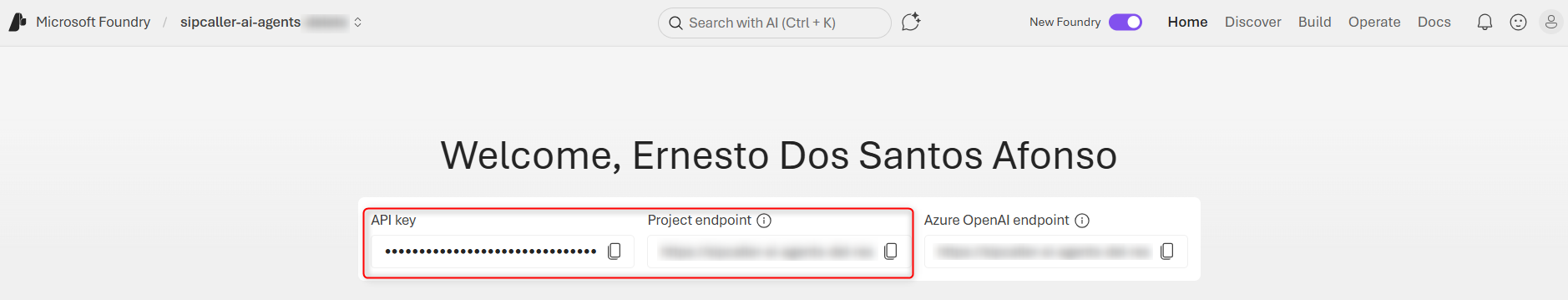 API Key e Project Endpoint